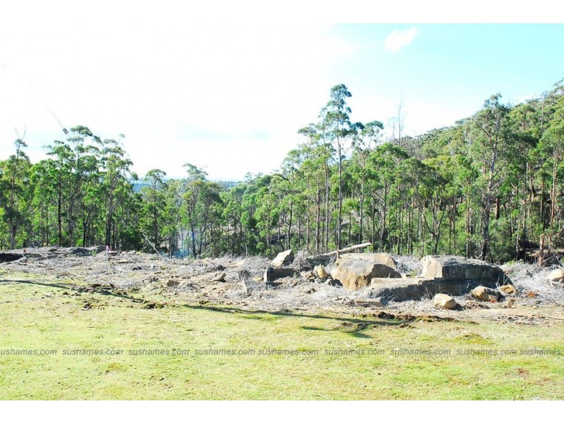 Lot 40 Forest Heights Drive, Tugrah TAS 7310