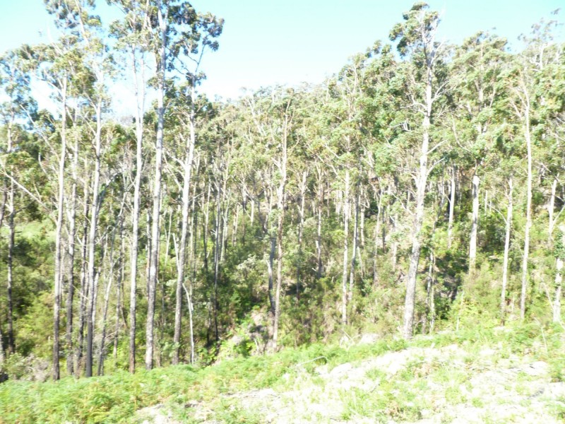 Lot 40 Forest Heights Drive, Tugrah TAS 7310