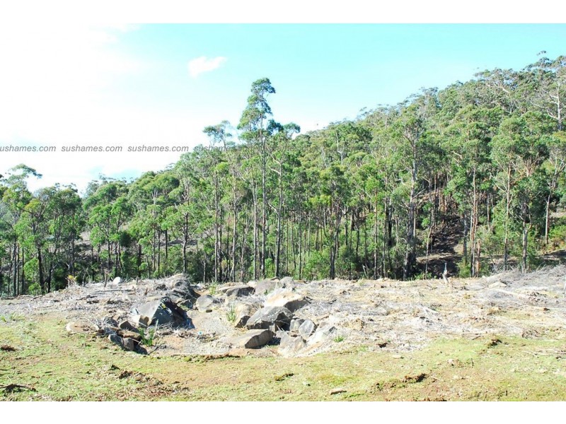 Lot 40 Forest Heights Drive, Tugrah TAS 7310