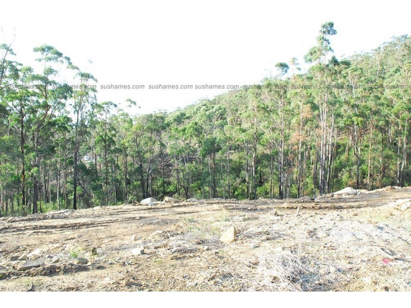 Lot 40 Forest Heights Drive, Tugrah TAS 7310