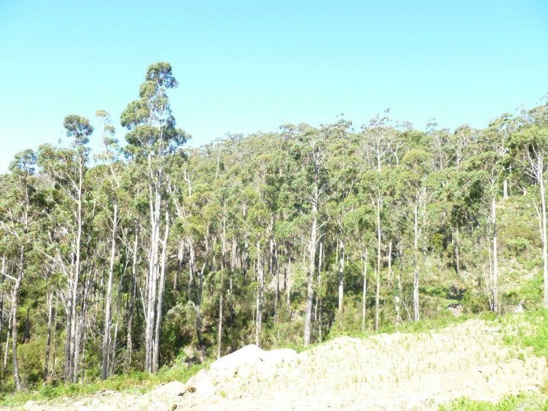Lot 40 Forest Heights Drive, Tugrah TAS 7310