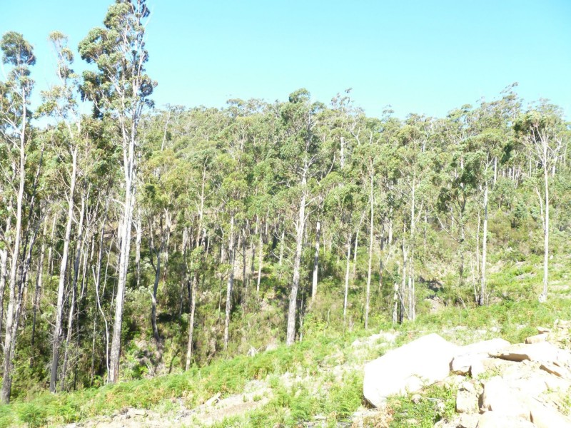 Lot 40 Forest Heights Drive, Tugrah TAS 7310