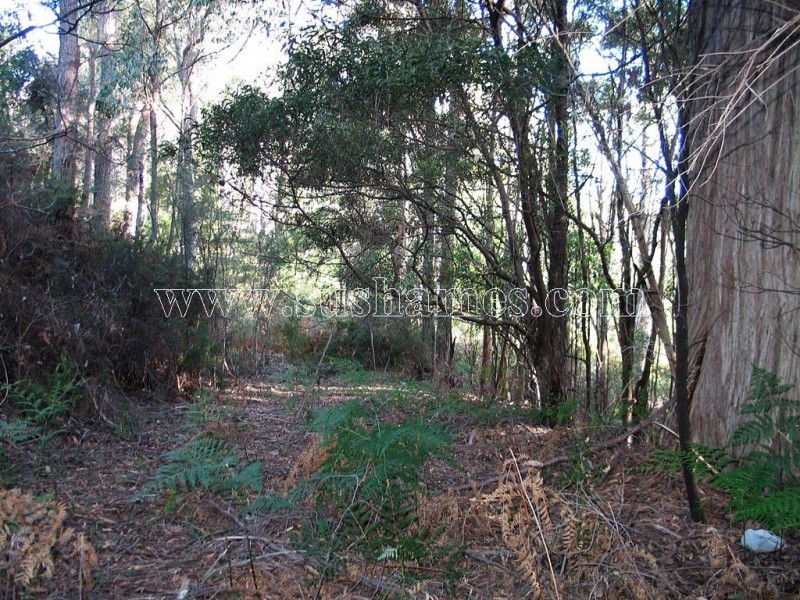 120-190 Sunnyside Road, Railton TAS 7305