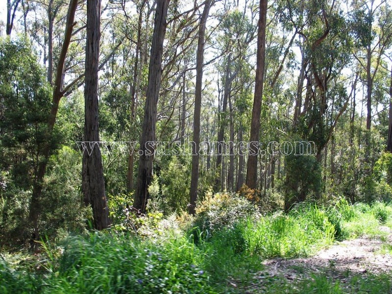 120-190 Sunnyside Road, Railton TAS 7305