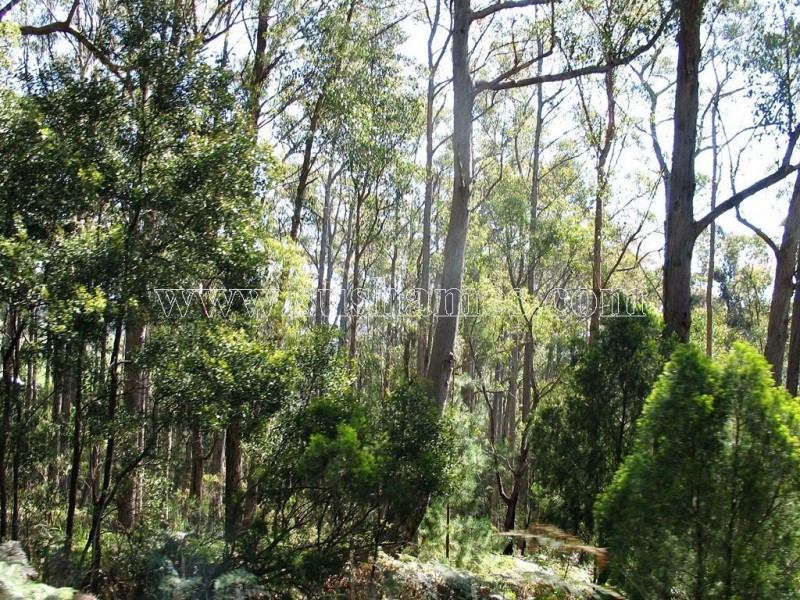 120-190 Sunnyside Road, Railton TAS 7305