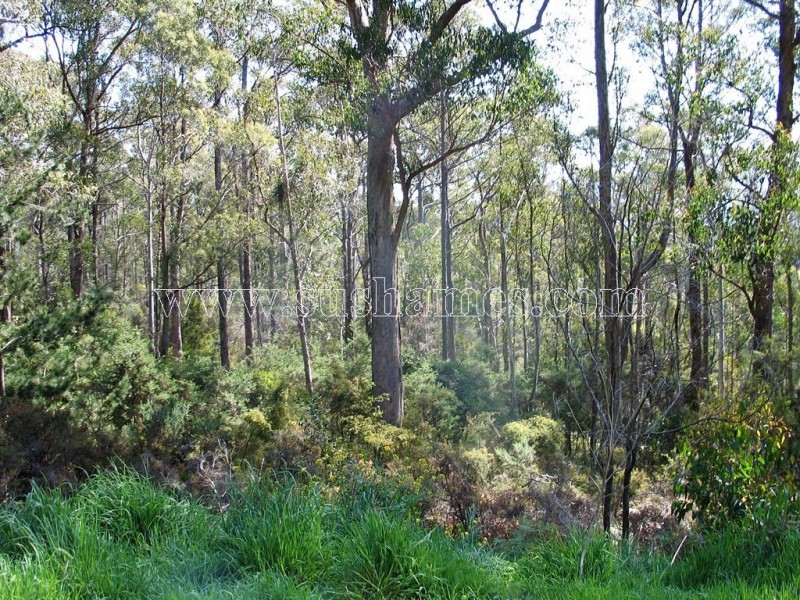 120-190 Sunnyside Road, Railton TAS 7305