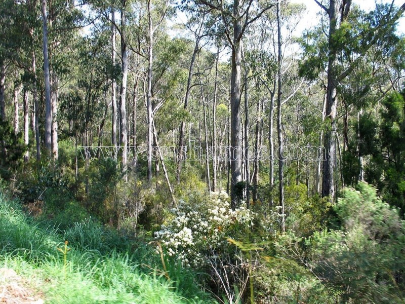 120-190 Sunnyside Road, Railton TAS 7305