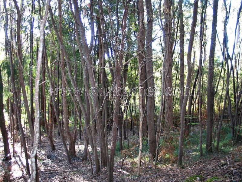 120-190 Sunnyside Road, Railton TAS 7305