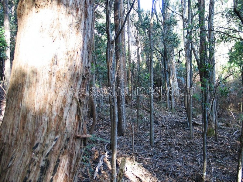 120-190 Sunnyside Road, Railton TAS 7305