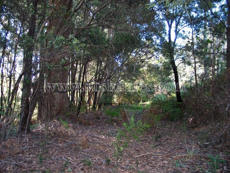 120-190 Sunnyside Road, Railton TAS 7305