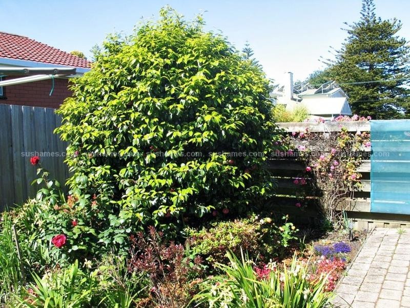 Unit 7/17 Victoria Parade, Devonport TAS 7310