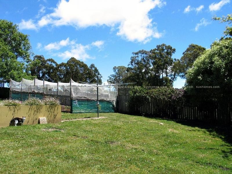 259 Melrose Road, Aberdeen TAS 7310