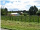 28 Holmes Road, Roland TAS 7306