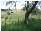 28 Holmes Road, Roland TAS 7306
