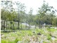 9 Woodland Grove, Tugrah TAS 7310