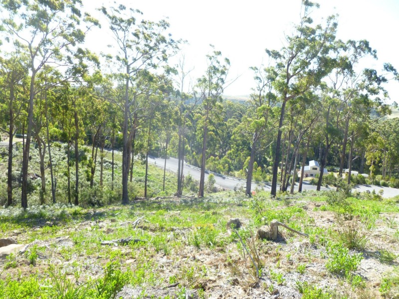 9 Woodland Grove, Tugrah TAS 7310
