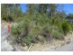 9 Woodland Grove, Tugrah TAS 7310