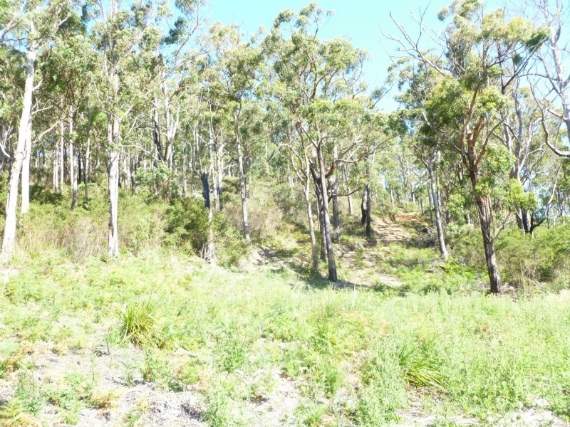 9 Woodland Grove, Tugrah TAS 7310