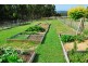 159 Knox Drive, South Spreyton TAS 7310