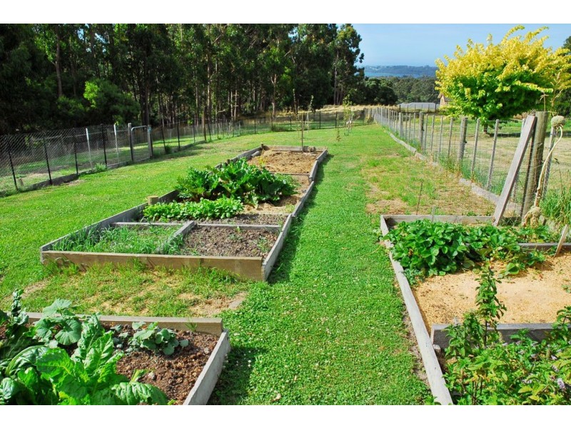 159 Knox Drive, South Spreyton TAS 7310