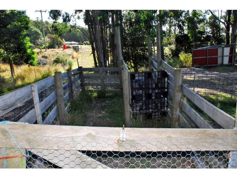 159 Knox Drive, South Spreyton TAS 7310