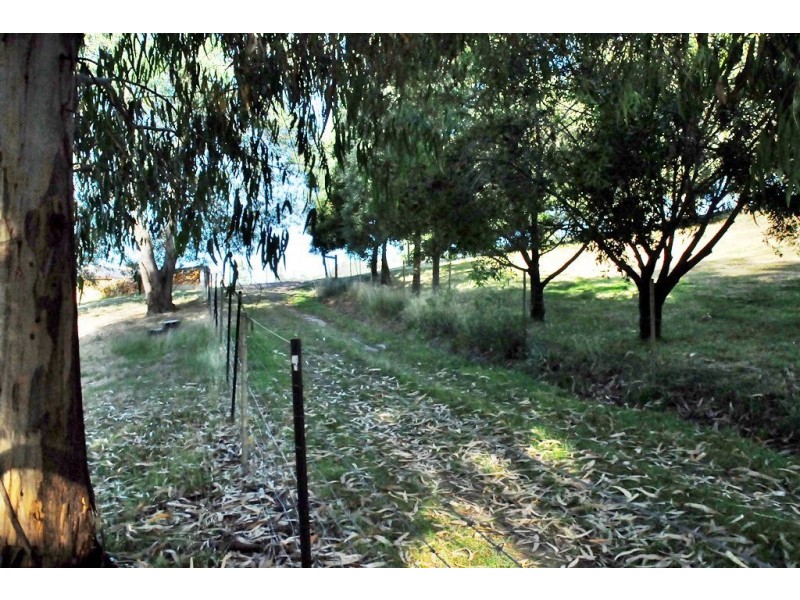 159 Knox Drive, South Spreyton TAS 7310