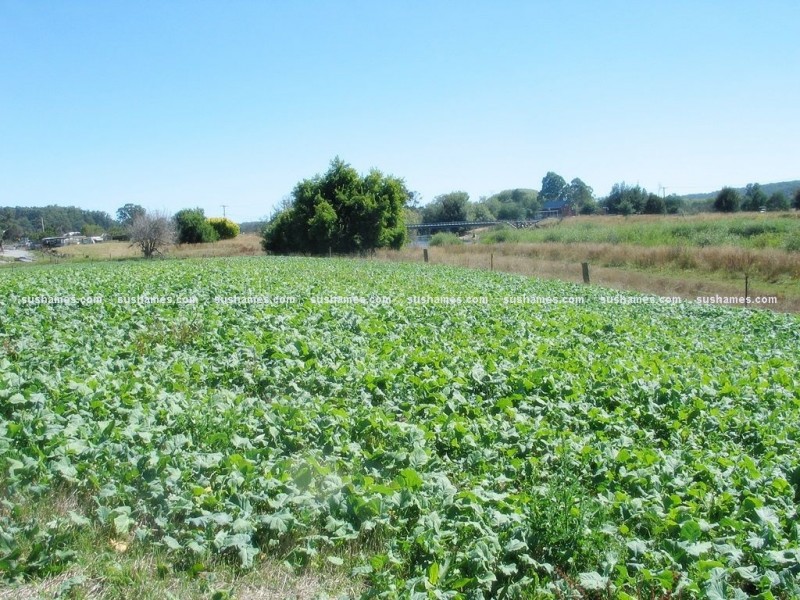 34 Lamberts Road, Merseylea TAS 7305