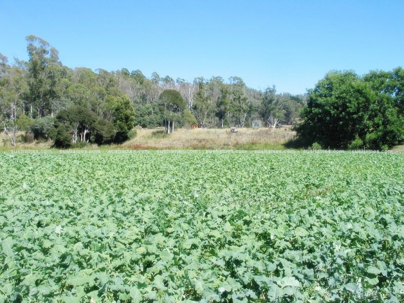 34 Lamberts Road, Merseylea TAS 7305