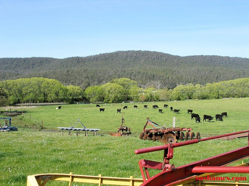 34 Lamberts Road, Merseylea TAS 7305