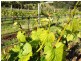 76 Brooks Road, Lalla TAS 7267