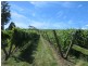 76 Brooks Road, Lalla TAS 7267