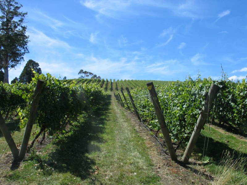 76 Brooks Road, Lalla TAS 7267