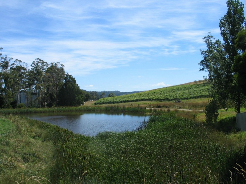 76 Brooks Road, Lalla TAS 7267