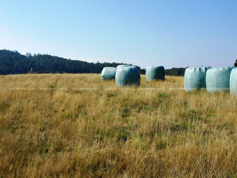 257 Melrose Road, Aberdeen TAS 7310