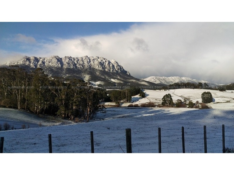202 Lockwoods Rd, Claude Road TAS 7306