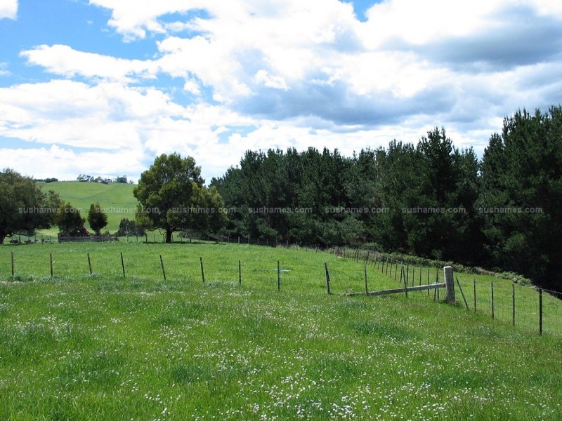 202 Lockwoods Rd, Claude Road TAS 7306