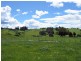 202 Lockwoods Rd, Claude Road TAS 7306