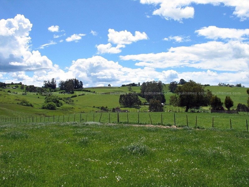 202 Lockwoods Rd, Claude Road TAS 7306