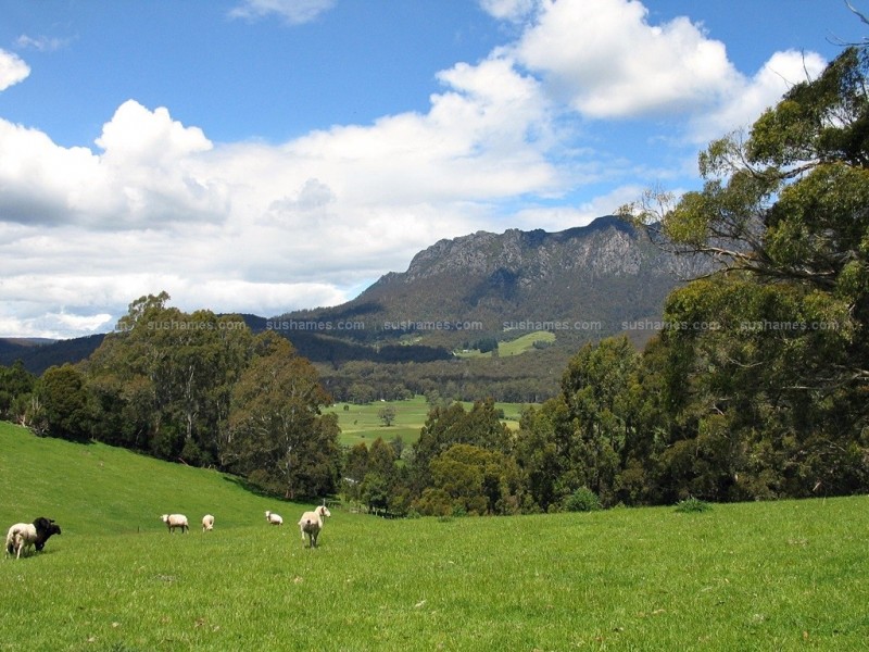 202 Lockwoods Rd, Claude Road TAS 7306