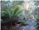 2153 Wilmot Rd, Lower Wilmot TAS 7310