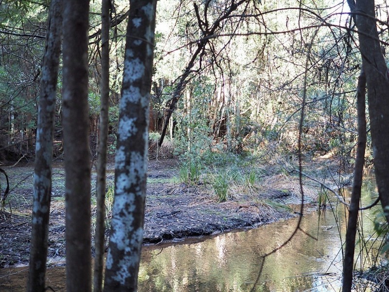 2153 Wilmot Rd, Lower Wilmot TAS 7310