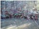 2153 Wilmot Rd, Lower Wilmot TAS 7310