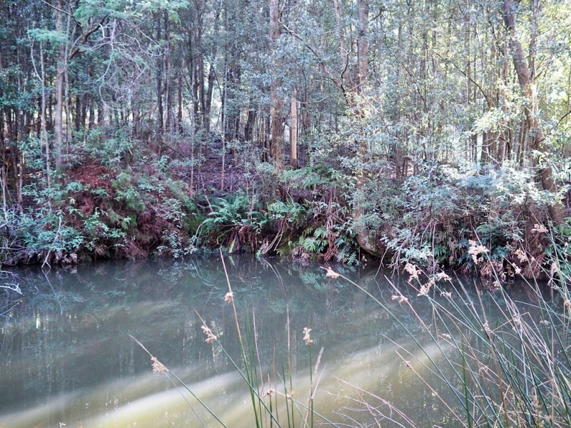 2153 Wilmot Rd, Lower Wilmot TAS 7310