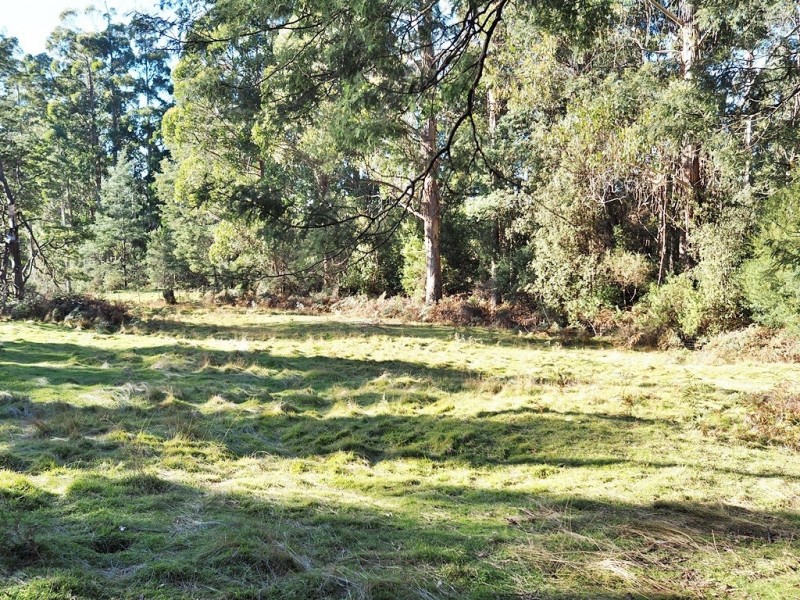 2153 Wilmot Rd, Lower Wilmot TAS 7310