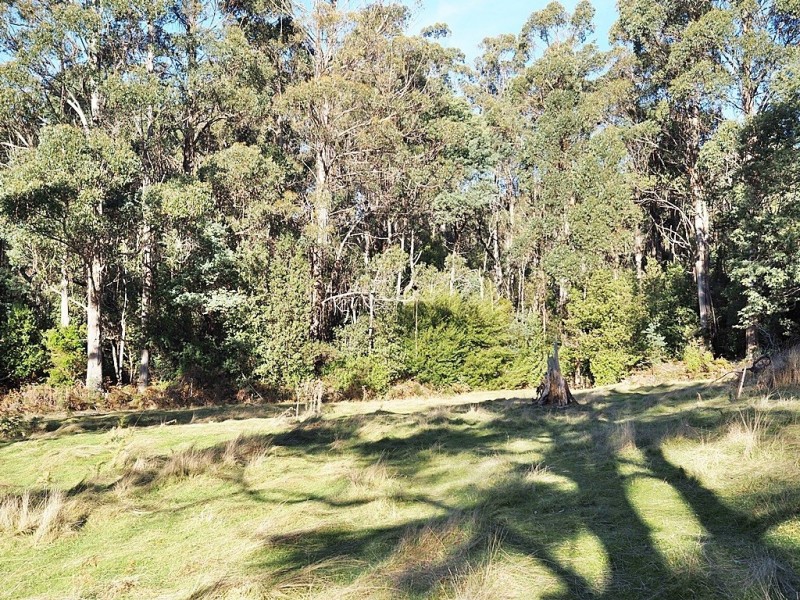 2153 Wilmot Rd, Lower Wilmot TAS 7310