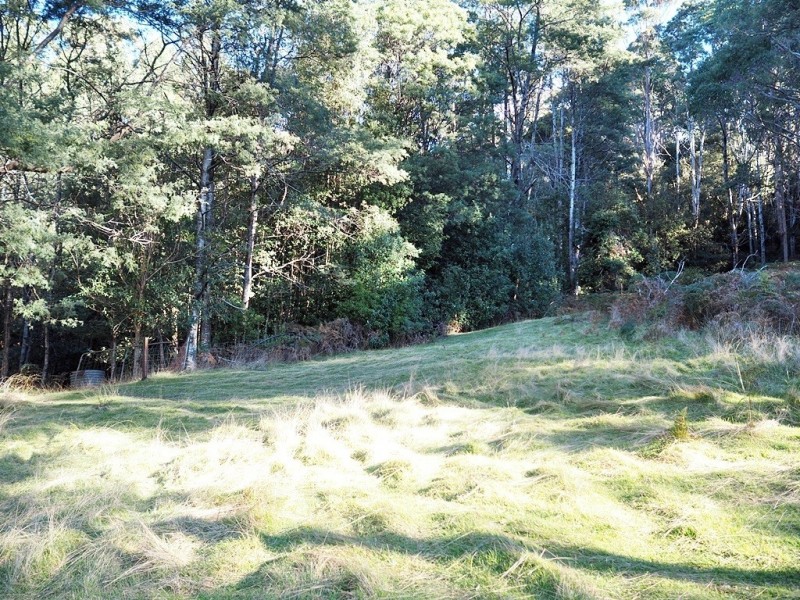 2153 Wilmot Rd, Lower Wilmot TAS 7310