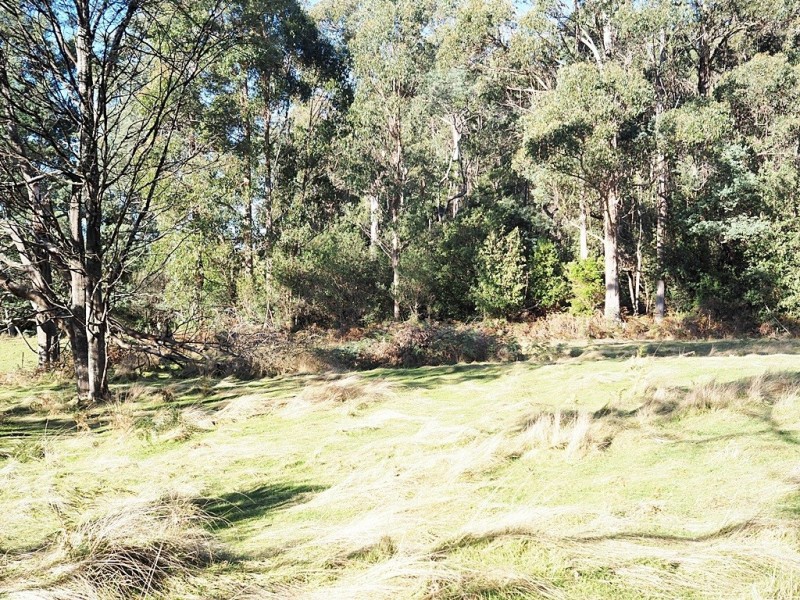 2153 Wilmot Rd, Lower Wilmot TAS 7310
