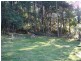 2153 Wilmot Rd, Lower Wilmot TAS 7310