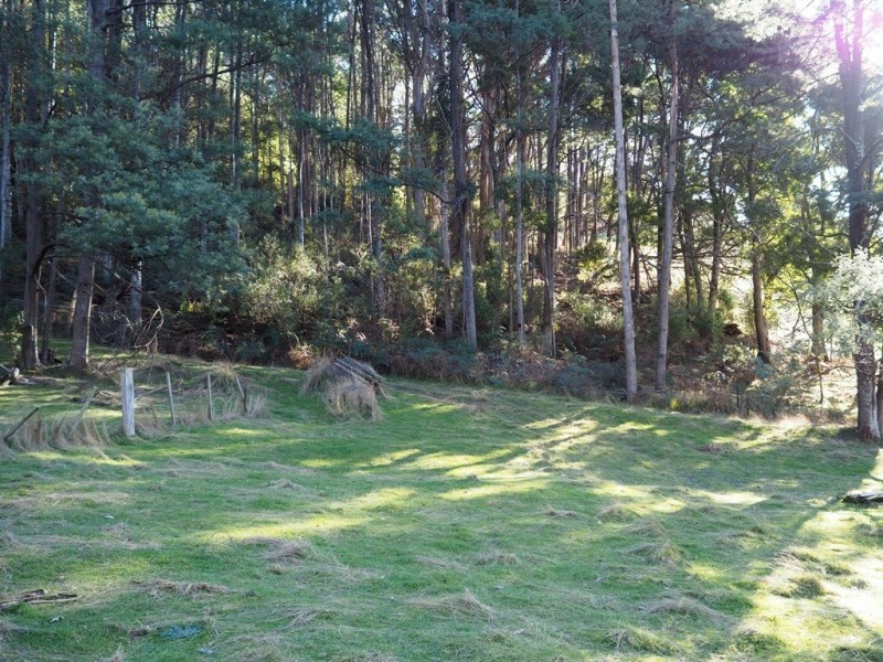 2153 Wilmot Rd, Lower Wilmot TAS 7310