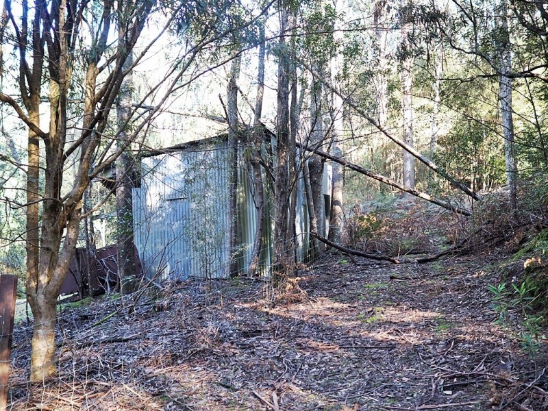 2153 Wilmot Rd, Lower Wilmot TAS 7310